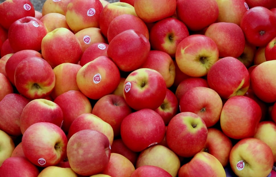 Apples