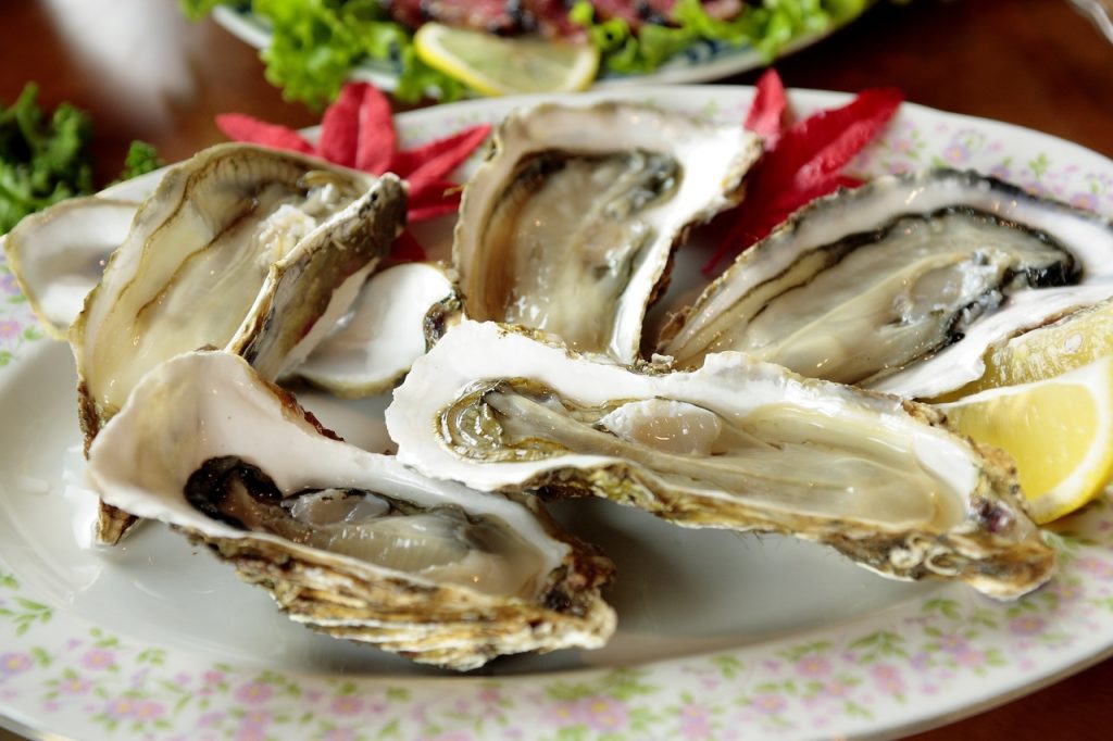 oyster seafood
